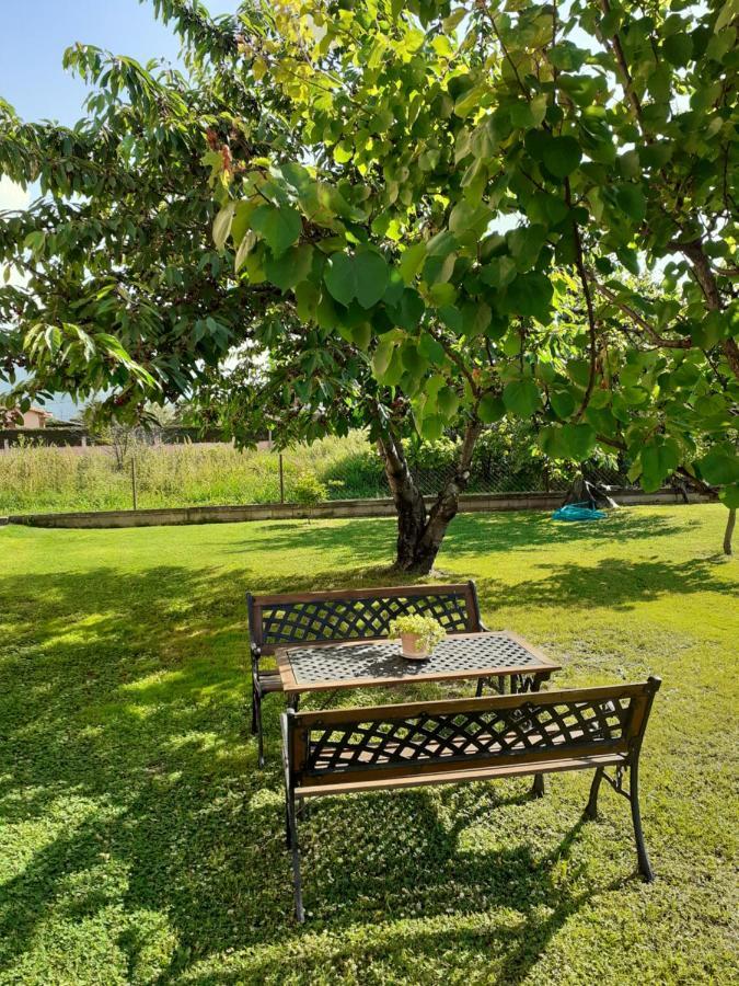 Chrysafis Apartments Vrasná Kültér fotó